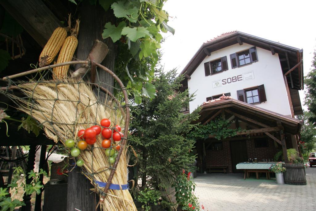 Farm Stay Frank Ozmec Wine And Glamping Estate Ljutomer Bagian luar foto